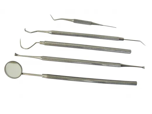 Zahnreiniger-Set mit Mundspiegel - 5-teilig in praktischer PVC-Hülle