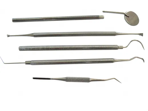 Zahnreiniger-Set mit Mundspiegel - 5-teilig in praktischer PVC-Hülle