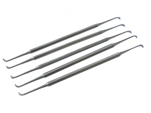 5x Zahnreiniger, Flügelform, schräg, doppelendig, Scaler